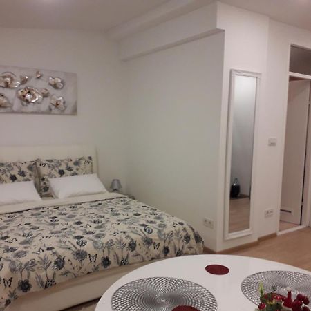Apartman Mmvg Studio Zagreb Airport Velika Gorica Eksteriør bilde